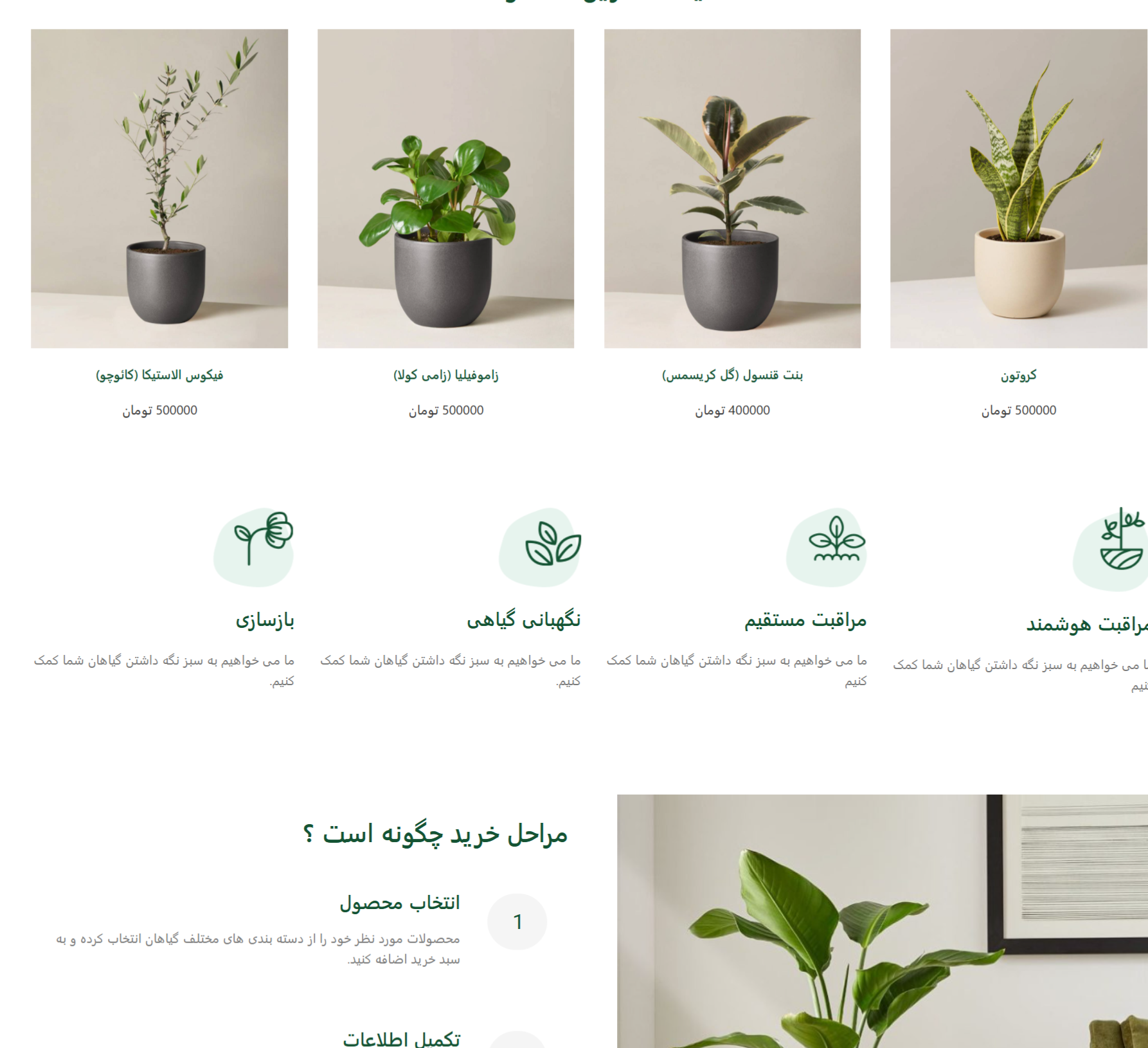 نمونه‌کار ۲